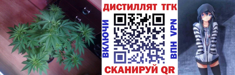 Дистиллят ТГК концентрат  как найти наркотики  Медвежьегорск 