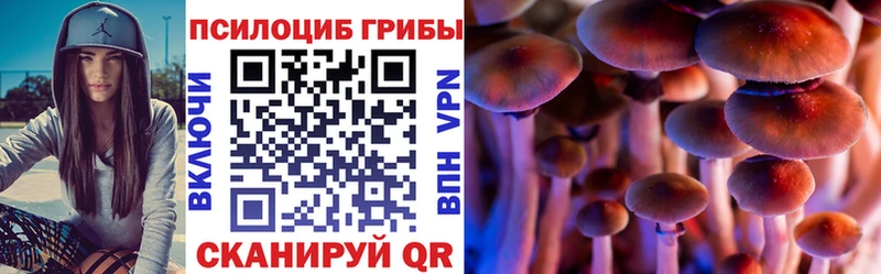 Галлюциногенные грибы Psilocybine cubensis  купить наркотик  kraken зеркало  Медвежьегорск 